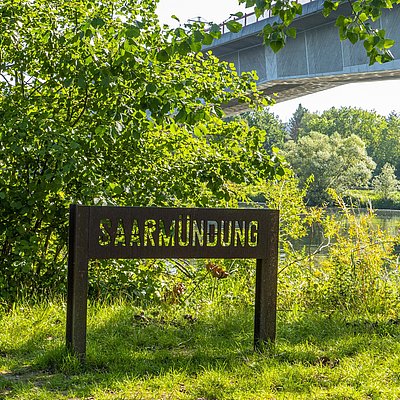 Foto: Saarmündung Konz (5)