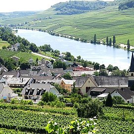Weingut-Ferienwohnung Heinz Dostert 2