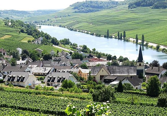 Weingut-Ferienwohnung Heinz Dostert 2