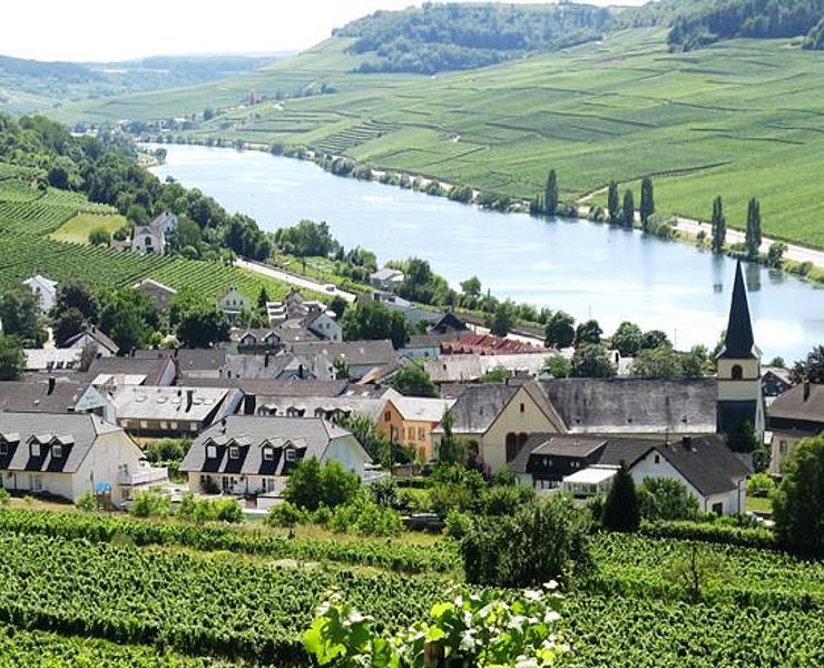 Weingut-Ferienwohnung Heinz Dostert 2