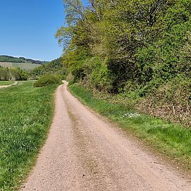 Radweg zwischen Saarburg und Trassem