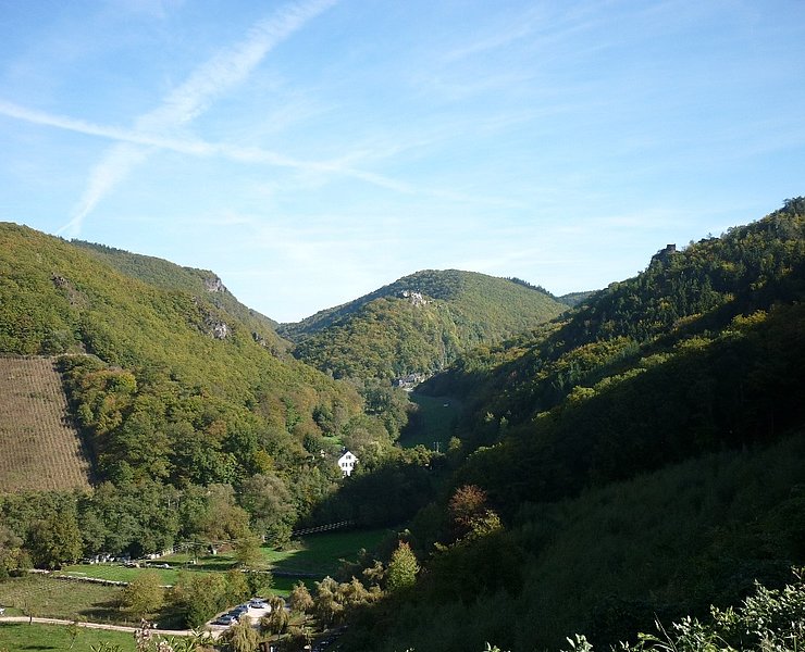 Blick ins Veldenzer Bachtal mit Schloss Veldenz