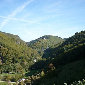 Blick ins Veldenzer Bachtal mit Schloss Veldenz