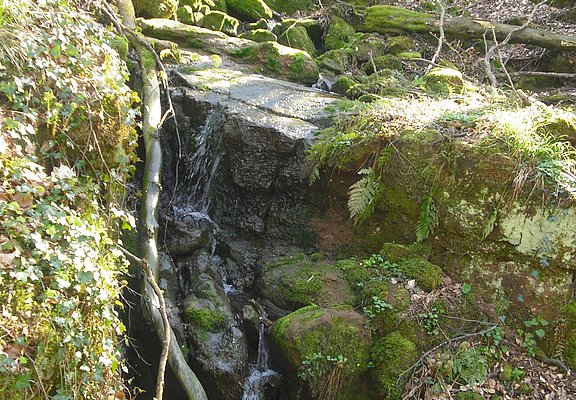 Ewigbachtal (02)