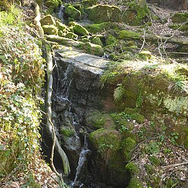 Ewigbachtal (02)