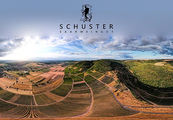 Weingut Schuster Oberemmel (05)