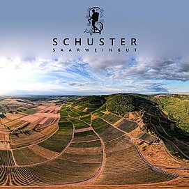 Weingut Schuster Oberemmel (05)