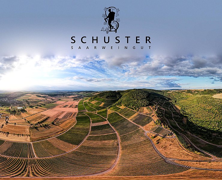 Weingut Schuster Oberemmel (05)
