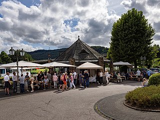 Saarburger Weinufer Saarburg