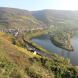 Aussicht auf Senheim mit Hafen