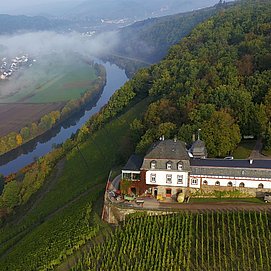 Weingut Schloss Saarstein