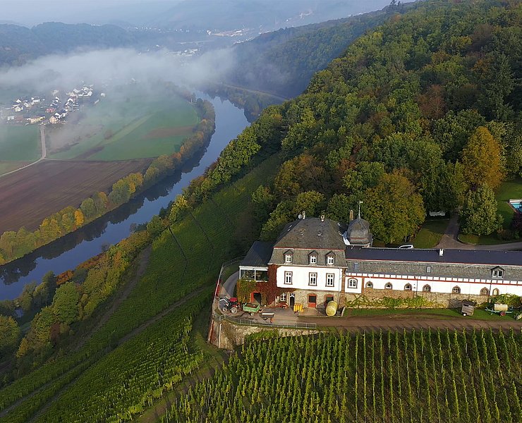 Weingut Schloss Saarstein