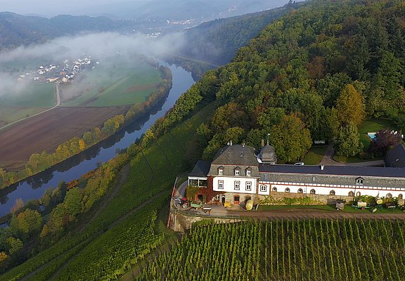 Weingut Schloss Saarstein