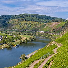 Blick auf den Weinort Pünderich und das Eisenbahnviadukt