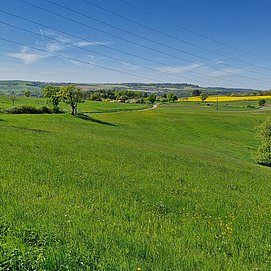 Radweg Richtung Ortsmitte von Kastel