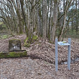 Pellinger Schanzen