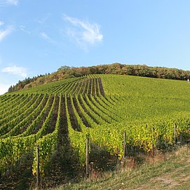 Karlskopf-Panorama-Hütte (5)