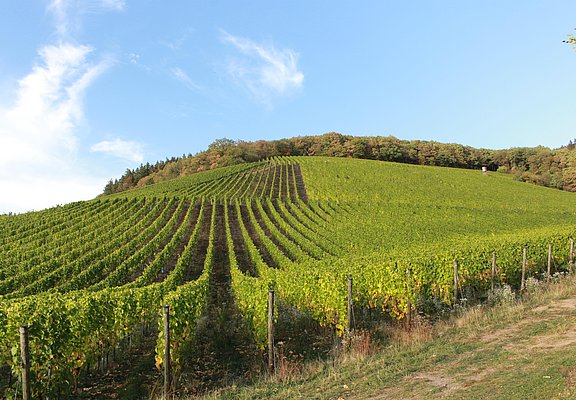 Karlskopf-Panorama-Hütte (5)