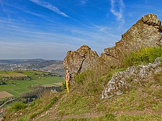 Bockstein