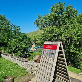 Weingut Schafhausen Kanzem (04)