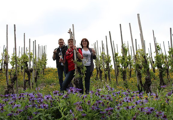 Weingut Rausch (1)