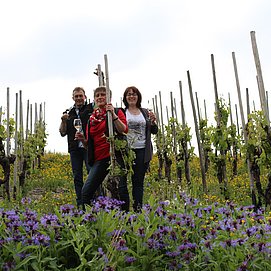 Weingut Rausch (1)