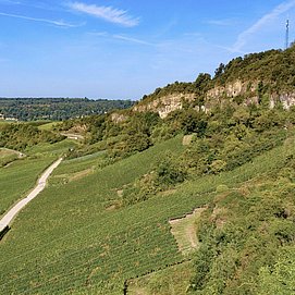 Nitteler Fels