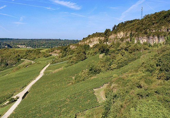 Nitteler Fels