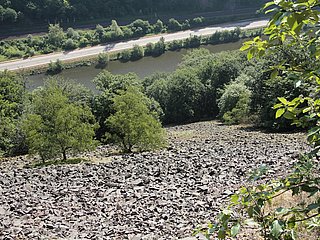 Saarsteilhänge am Kaiserweg (01)