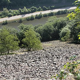 Saarsteilhänge am Kaiserweg (01)
