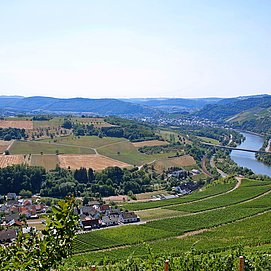 Blick ins Saartal