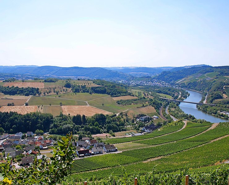 Blick ins Saartal