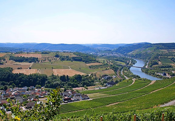 Blick ins Saartal