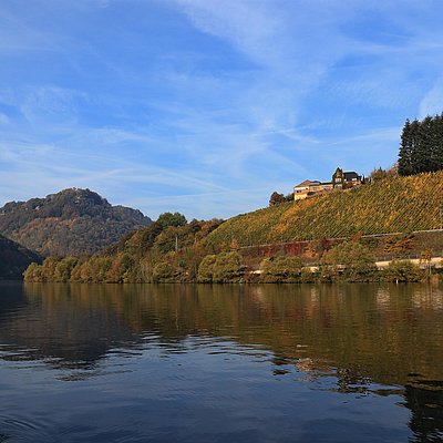 Foto: Weingut Würtzberg Serrig (1)