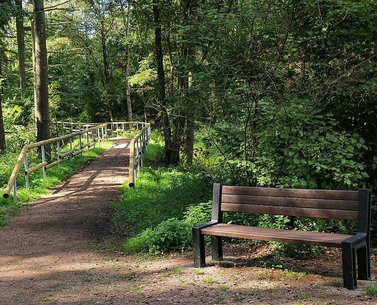 Spazierweg Warsberg (2)