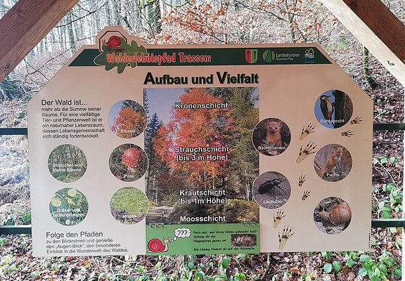 Informationspavillon Lebensraum Wald (3)
