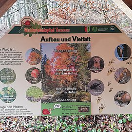 Informationspavillon Lebensraum Wald (3)