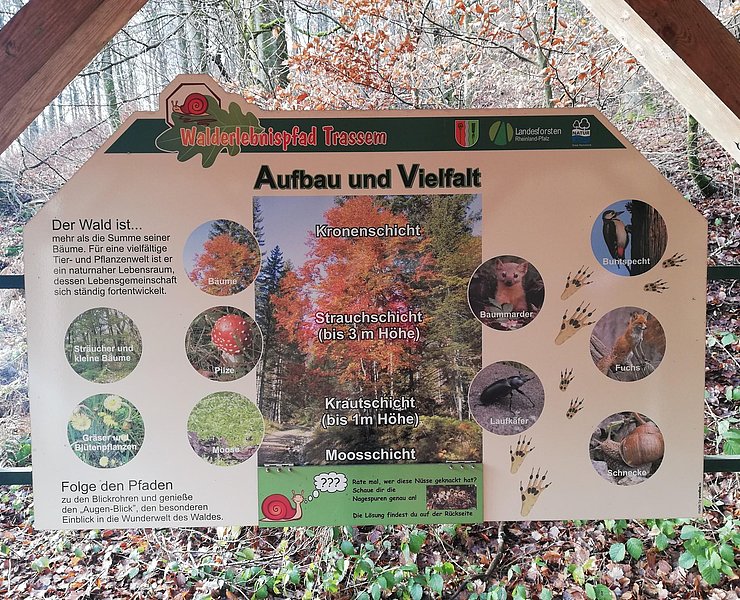 Informationspavillon Lebensraum Wald (3)