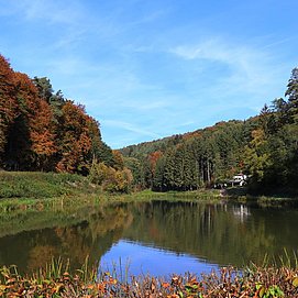Angelweiher Trassem (1)