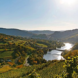 Saar-Radweg bei Ockfen