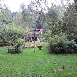 Haus Sonnenschein Trassem (15)