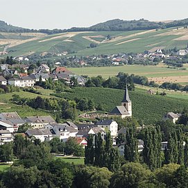 Blick auf Oberemmel (2)