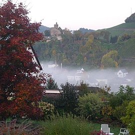 Ferienwohnungen Geltz, Saarburg (08)