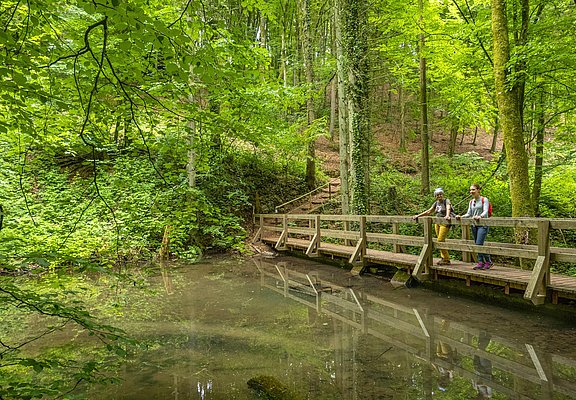 Leukbachtal (1)