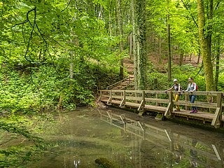 Leukbachtal (1)
