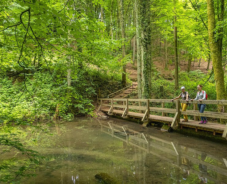 Leukbachtal (1)
