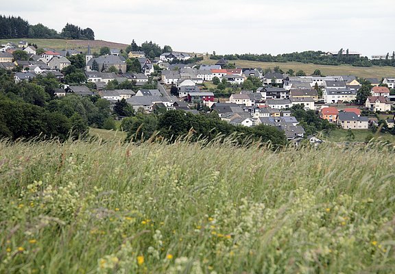 Pellingen