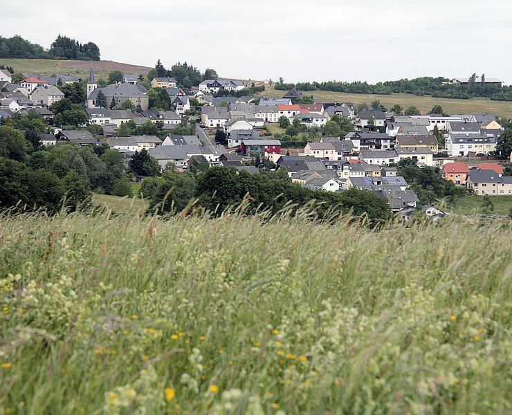 Pellingen