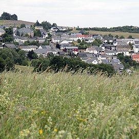 Pellingen