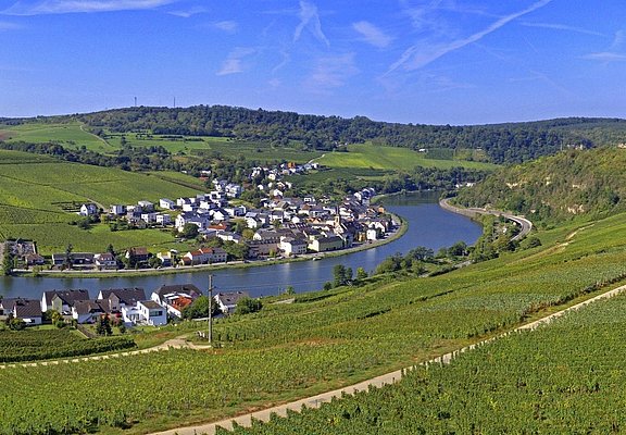 Leuchtpunkt Nitteler Fels (4)